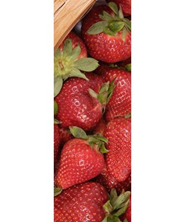 Stoneridge Orchards Whole Dried Strawberries 4 oz - Natural Fruit Snack - Buy Online on GoSupps.com