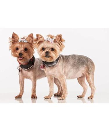 Eureka MARCOPOLO Advanced Pet Tracking Tag Accessory - Pet Monitoring and Locating System - Buy Online on GoSupps.com