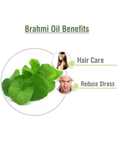 Calamus Oil (Acorus Calamus) - 100% Pure Therapeutic Essential Oil - Salvia Amber Bottle - 100ML Aromatherapy - Cold Pressed Uncut Undiluted - Buy Online on GoSupps.com