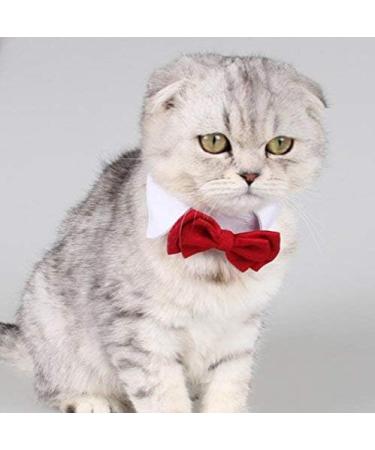 Diafas 2x Haustier Hunde Katzen Krawatte - Einstellbarer Baumwollkragen mit roter Fliege | Formale Bowknot Halsketten f r Welpen - Internationaler Versand - Buy Online on GoSupps.com