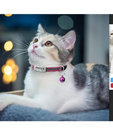 Buy Tagme 2 Pack Katzenollsband - Personalized Cat Collars with Safety Clasp & Bell Hot Pink Standard Size 18-31cm - International Shipping Available - Buy Online on GoSupps.com