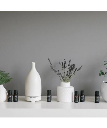 Buy Saje Fortify Petite Diffuser Blend - Therapeutic Grade Essential Oil for Aromatherapy | 0.34 fl oz | International Shipping Available - Buy Online on GoSupps.com