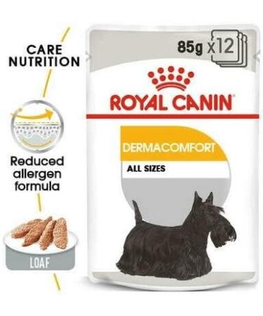 Royal Canin Dermacomfort Wet Pouches Adult Dog Food 85g (Pack of 48) - Buy Online on GoSupps.com
