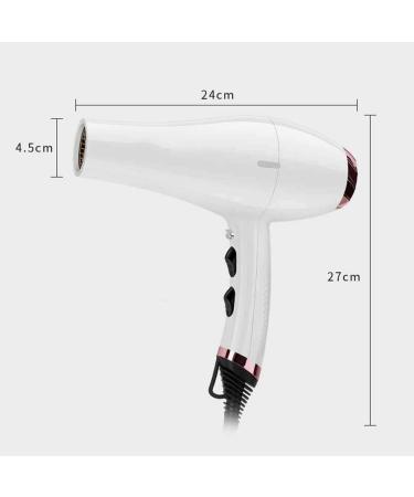 2200W Professional Hair Dryer Ionic Hair Dryer Hairdryer Constant Temperature Hair Dryer Powerful AC Motor 3 Speed Settings Cool Button for Heathly Looking Hair for Travel and Home White Small - Buy Online on GoSupps.com