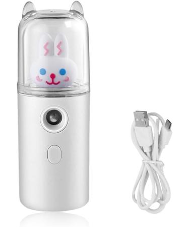 dijiusidy USB Sprayer Maker Portable 30ml Mini Humidifier Fogger Face Steamer Traveling Camping Atomizer Beauty Instrument Type 2 White - Buy Online on GoSupps.com