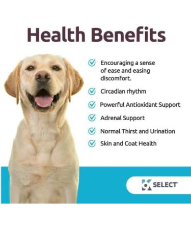 K9 Select Melatonin for Dogs 1 mg - 180 Vegetable Capsules - Dog Melatonin for Small Breeds - Gentle Well-Being Enhancer - Healthy Tasty Dog Treats That Helps Overall Health - Buy Online on GoSupps.com