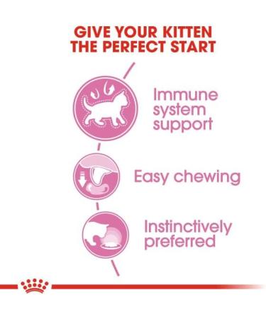 ROYAL CANIN Kitten in Gravy Wet Food 85g (Pack of 48) * Multipack * Meat 48 count (Pack of 1) - Buy Online on GoSupps.com