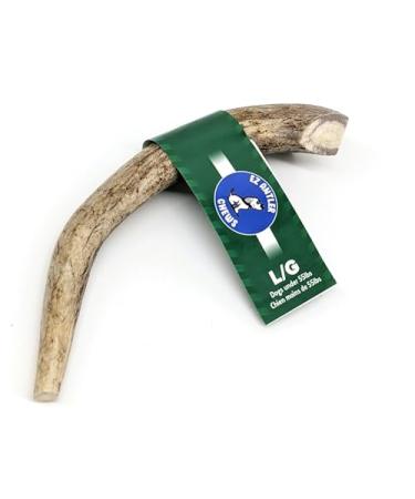 EZ Antler Chews - Deer Antlers for Dogs - Large Whole - Dogs Under 55lbs - Long Lasting Dog Treats Dog Chews - Marrow Bone Dog Treats - Naturally Shed Preservative Free Cruelty Free - Antler Dog Chew