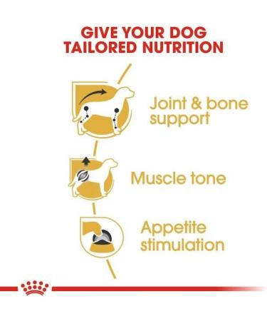 Royal Canin Dachshund Adult Mousse | Double Pack | 2 x 12 x 85 g | Complete Food for Dogs | for Adult Dachshunds | May Help Protect Bones and Joints - Buy Online on GoSupps.com