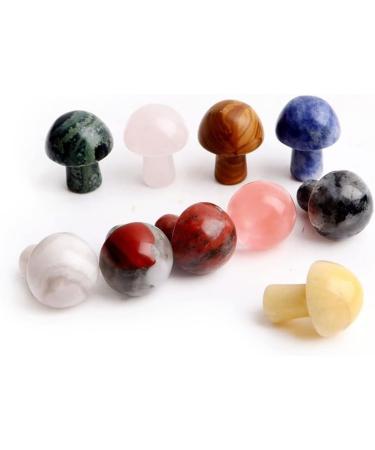 Crystal Rough Crystal Ornaments 1PC Mini Crystal Mushroom Natural Stones Carved Crafts Decoration Quartz Trinket Gift Ornament Aquarium Home Decor Gift (Color : Kambaba Jasper Size : 1pc) 1pc Kambaba Jasper - Buy Online on GoSupps.com