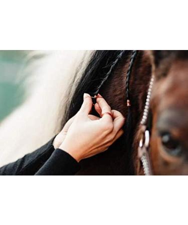 Animalon Mane Gum for Horses | Tear-Resistant Silicone Mane Accessories | 300 Pieces | Ideal for Horse Hairstyles and Grooming - Buy Online on GoSupps.com