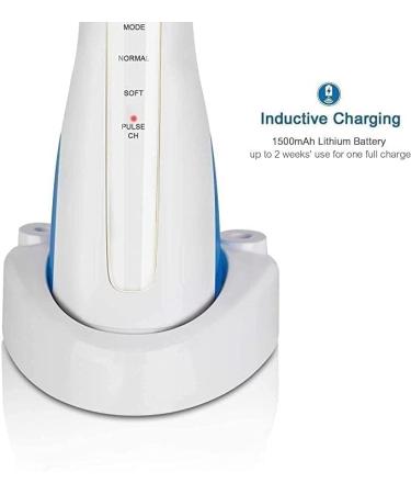 Professional Cordless Water Flosser - Portable Rechargeable Oral Irrigator for Home & Travel | IPX7 Waterproof 3 Modes - Ideal for Braces & Bridges Care - Buy Online on GoSupps.com