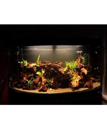 TM Aquatix Aquarium Wood Decoration Premium Pieces 100% Natural (40-50cm Mopani) - Buy Online on GoSupps.com