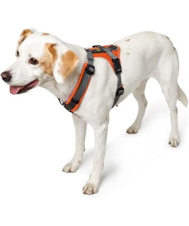 HUNTER Harness Maldon 37-53/XS-S Orange/Grey | Premium Pet Harness for Small Dogs - Shop Now! - Buy Online on GoSupps.com