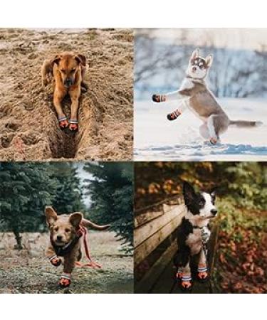 Neuwee Dog Shoes - Waterproof Anti-Slip Boots with Reflective Straps | Paw Protection for Small Medium & Large Dogs (M Blue) | 4-Set Rain Shoes - Buy Online on GoSupps.com