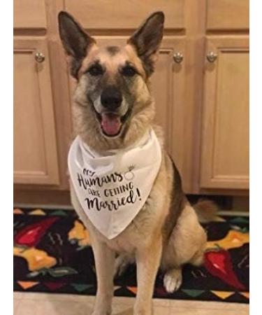 Dog Bandana EYLEER My Humans are Getting Married Dog Bandanas Scarfs Bibs for Small Medium Large Dogs Boy Girl Engagement Wedding Announcement Accessories Gifts (My Humans are Getting Married) - Buy Online on GoSupps.com