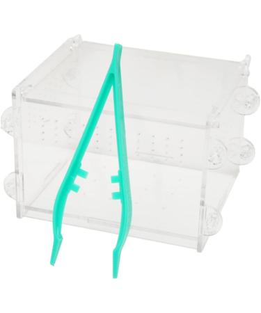 TOYANDONA 40 Pcs Feeding Clamp Reptile Feeding Clip Tree Frog - Buy Online on GoSupps.com