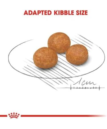 ROYAL CANIN X-Small Adult | Double Pack | 2 x 500 g | Dry food for very small adult dogs | for dogs up to 4 kg | From 10 months | to support the intestines - Buy Online on GoSupps.com