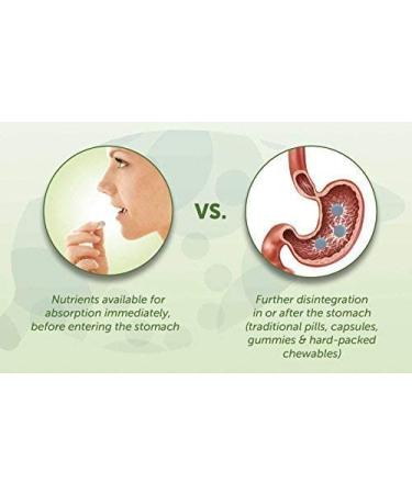 EZ Melts Calcium & Magnesium with Vegan D3 500mg | 60 Fast Dissolve Tablets | Natural Strawberry Flavor | Vegan Formula | Zero Sugar - Buy Online on GoSupps.com