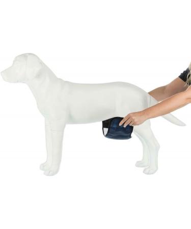 Shop Trixie Belly Band for Male Dogs - Size L (55-65 cm) | Comfortable & Secure Solutions for Pet Parents - Buy Online on GoSupps.com
