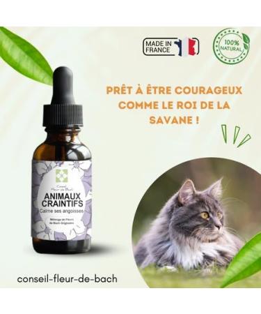 Bach Flowers Fearful Animals - This mixture of Bach flowers will allow your pet to manage their fears and anxieties with more cold blood. 30 ml Pack of 2 - Buy Online on GoSupps.com