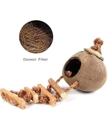 Tfwadmx Coconut Hide with Ladder - Natural Fiber Hanging Birdhouse Cage for Parrot, Parakeet, Lovebird, Finch, Canary - 2 Pcs - Buy Online on GoSupps.com