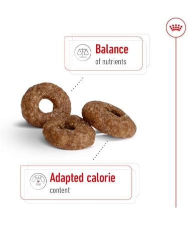 Royal Canin Mini Ageing Dog Food 12 0.8 kg - Buy Online on GoSupps.com