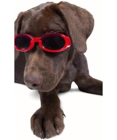 Doggles ILS X-Small Racing Flames Frame with Orange Lens - XS 1 - Buy Online on GoSupps.com