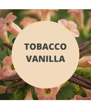 Black Canyon Tobacco Vanilla Scented Body Wash 16 Oz (2 Pack) - Buy Online on GoSupps.com