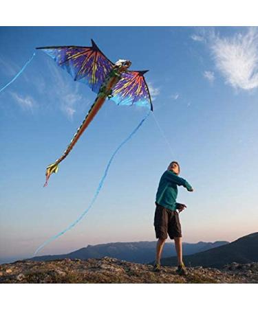 WindNSun Super Size 3D Blue Dragon Kite | 76 Wide Ripstop Nylon | Glass Eye Design - Buy Online on GoSupps.com