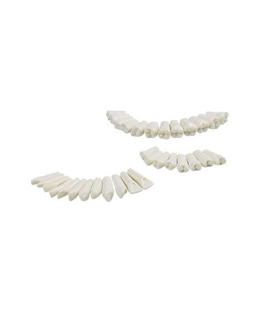 Buy Youya Dental TM-021 Replacement Teeth - 32 Pieces for Perfect Smile - Buy Online on GoSupps.com