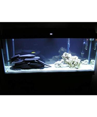 Retne Slate Slabs & Chippings for Aquarium/Terrarium - 1kg Decorative Stones | International Shipping - Buy Online on GoSupps.com