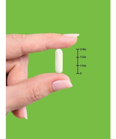 Nature's Truth Magnesium Oxide 500mg Capsules - 90 Count | Non-GMO Gluten Free Supplement - Buy Online on GoSupps.com