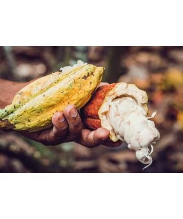 Natmirelys - Face And Body Scrub Coffee Honey Cocoa. - 4 oz (118 ml) - Buy Online on GoSupps.com