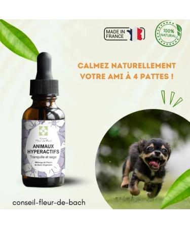 Conseil fleur de Bach - Fleurs de Bach Animaux hyperactifs - Ce m lange va permettre votre animal de s'apaiser de l'aider se canaliser se mod rer s'auto discipliner et de retrouver du calme 10 ml (Lot de 1) - Buy Online on GoSupps.com