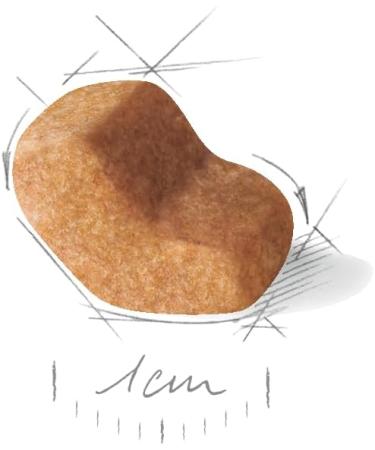 Royal Canin Dog Food Shih Tzu 24 Dry Mix 1.5kg Poultry 1.5 kg (Pack of 1) - Buy Online on GoSupps.com