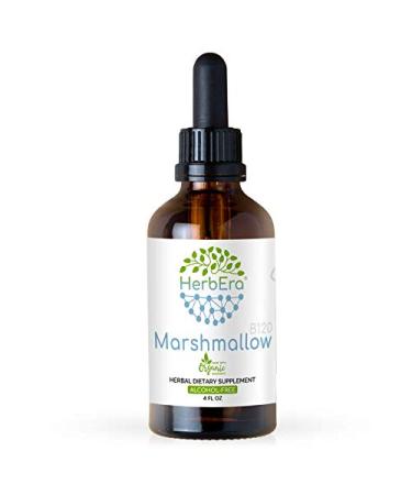 Marshmallow Root B120 Alcohol-Free Herbal Extract Tincture, Super-Concentrated Marshmallow (Althaea Officinalis) (4 fl oz) 4 Fl Oz (Pack of 1)