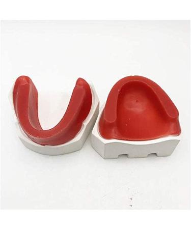 Fhuili Tooth Jaw Wax Embankment Model | Soft Wax Dental Mold for Artificial Teeth | Ideal for Studying - Buy Online on GoSupps.com