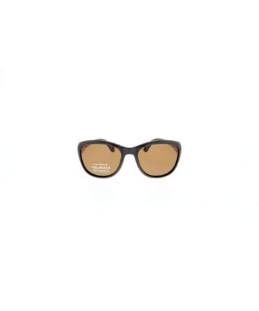 HIS HPS00100-1 sunglasses Brown pole