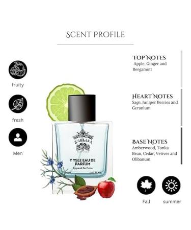 EMS Y YSLe Eau De Parfum For Men | Woody Aromatic Fragrances | Long Lasting Mens Perfume | Fragrance Sutaible for Any Occasion | Gift For Him 50ml 1.7fz ol - Buy Online on GoSupps.com