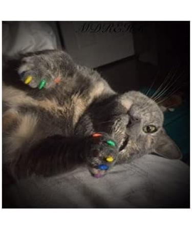 Purrdy Paws Soft Nail Caps Medium - Christmas Combo for Cat Claws - Buy Online on GoSupps.com
