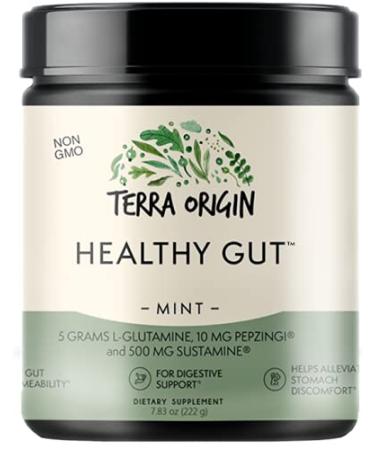 Terra Origin Healthy Gut Mint 7.83 oz (222 g)