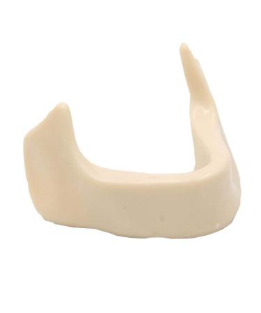 Dental Teeth Model Upper Jaw without Gums Dental Oral Model Implant Practice Standard Demonstration Tool Teeth