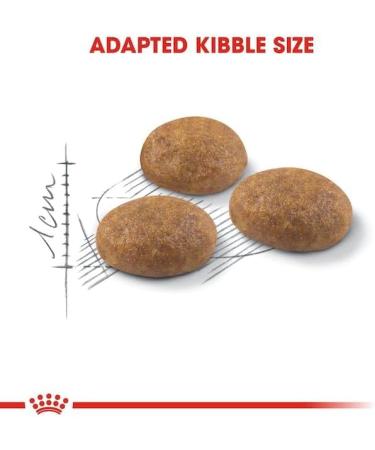 Royal Canin Outdoor 30 Dry Mix 400 g - Buy Online on GoSupps.com