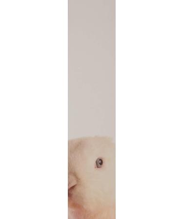 FarmHouse Fresh Fluffy Bunny Shea Butter Hand Cream 2.4 Fl Oz - Hydrating Hand Cream for Soft Skin (Pack of 1) - Buy Online on GoSupps.com