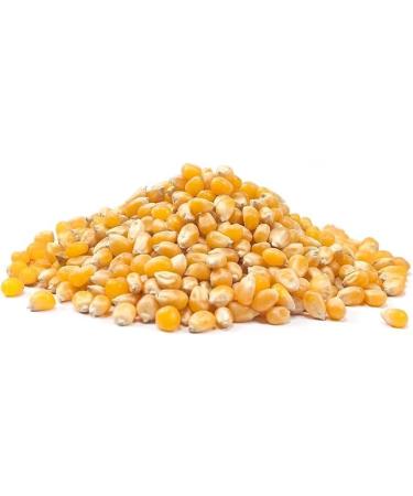 Organic Popping Corn 2kg by Virgolden Organic - Gently Flavorful Incredibly Snackable Certified Organic High Fibre - Buy Online on GoSupps.com