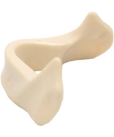Shop Dental Teeth Model Upper Jaw - No Gums Ideal for Implant Practice & Demonstration | International Shipping Available - Buy Online on GoSupps.com