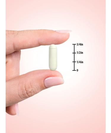 Nature's Truth Apple Cider Vinegar Capsules - 1200mg - 60 Vegan Pills - Extra Strength - Non-GMO - Gluten Free - Buy Online on GoSupps.com