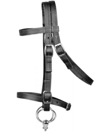 Pfiff 102291 Saddle Set - Complete Equipment for Shetland Ponies & Plush Horses - Black - Buy Online on GoSupps.com