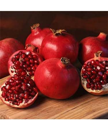 Pomegranate Molasses (11.3 oz) - 100% Pure Juice, Mediterranean Cuisine, Healthier Alternative to Balsamic Vinegar, Nutrition-Rich, Flavorful, No Sugar Added, Vegan, Gluten-Free - Buy Online on GoSupps.com